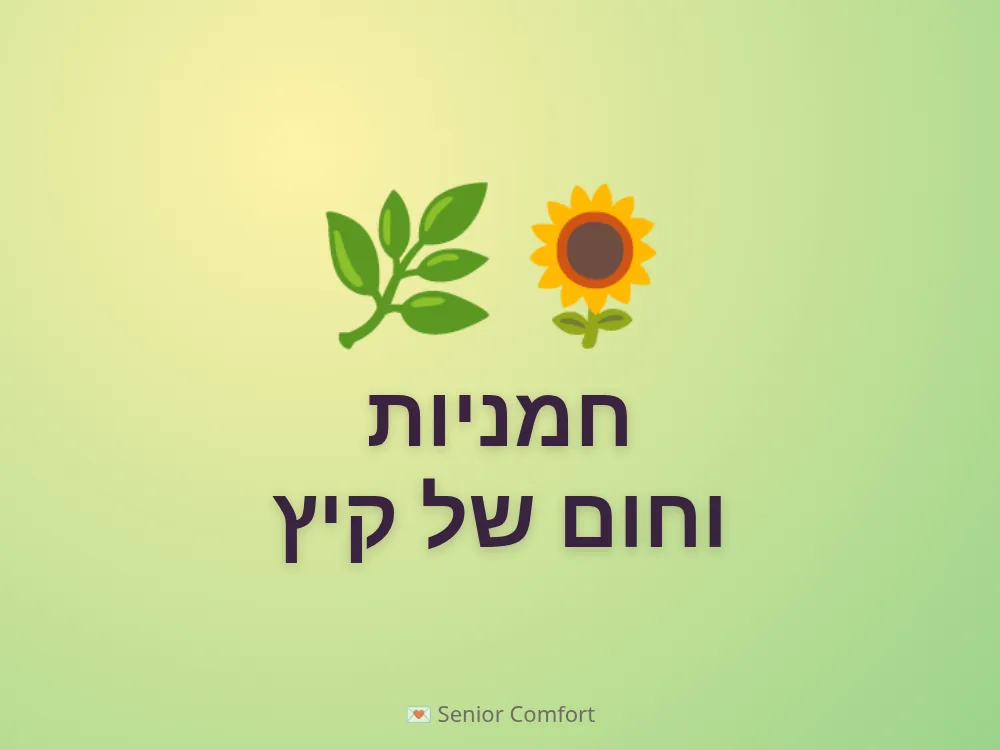 חמניות וחום של קיץ