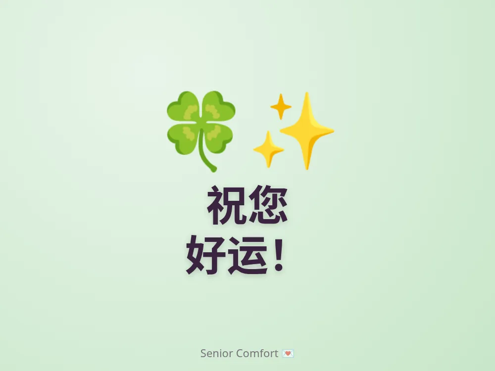 祝您 好运！