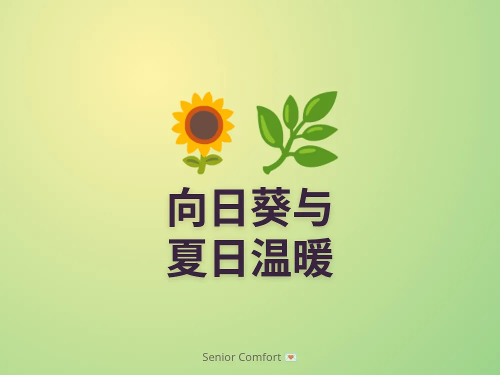 向日葵与 夏日温暖