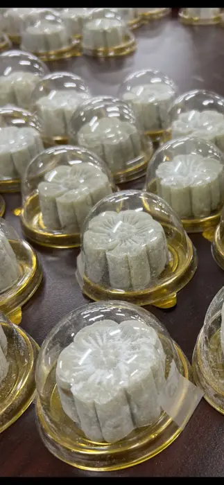 活动照片 – 49